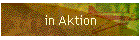 in Aktion