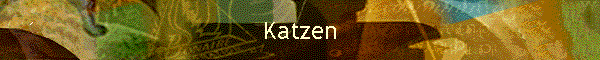 Katzen